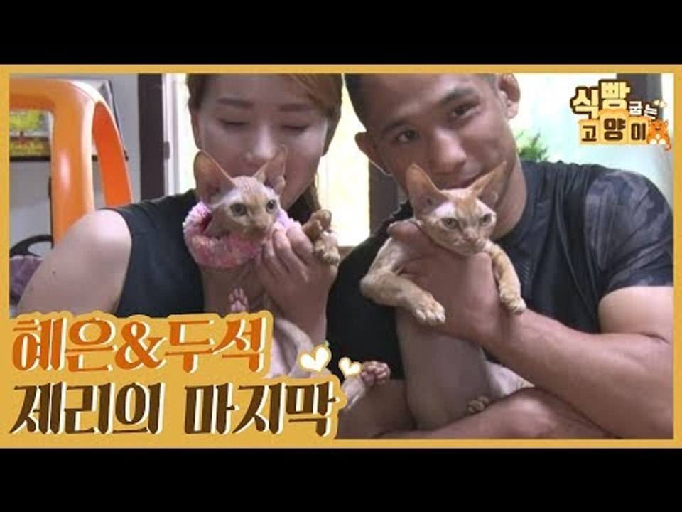 혜은&두석 부부와 제리의 마지막 [식빵굽는 고양이] 14회