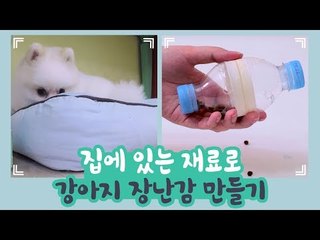 집에 있는 재료로 강아지 장난감 만들기 [개별방송] 11회