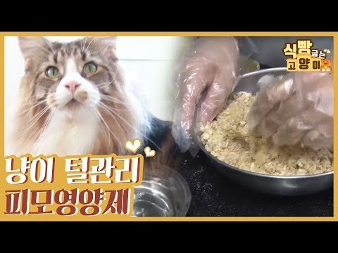 고양이 털 관리, 피모영양제 환 만들기 [식빵굽는 고양이] 17회