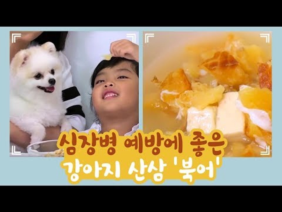 심장병 예방에 좋은 강아지 산삼 북어 [개별방송] 11회
