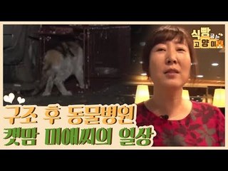 구조 후 동물병원, 캣맘 미애 씨의 일상 [식빵굽는 고양이] 14회