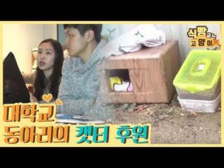 유기동물 보호소와 대학교 길고양이 동아리에 캣터 후원 [식빵굽는 고양이] 24회
