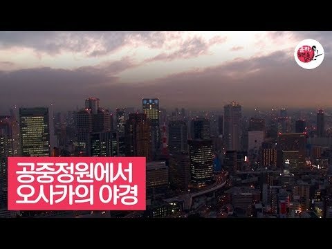 우메다스카이 빌딩 공중정원에서 즐기는 오사카의 야경 [윤하, 일본을 담다] 6회
