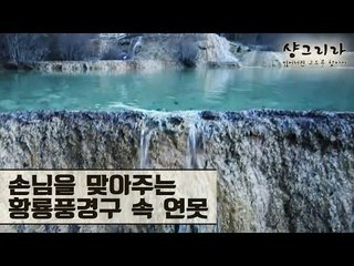 손님을 맞아주는 황룡풍경구에 속한 연못, 영빈지 [샹그리라 익스프레스] 2회