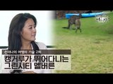 캥거루가 뛰어다니는 자연친화적 그린시티 멜버른 [손미나의 여행의 기술] 2회