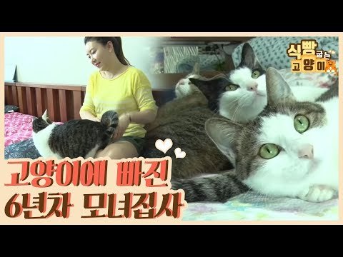 고양이에게 푹 빠진 6년 차 모녀 집사 [식빵굽는 고양이] 17회