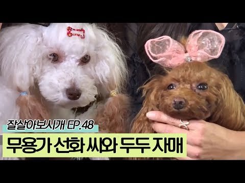 무용가 선화 씨와 두두자매 '연두&호두'의 인연