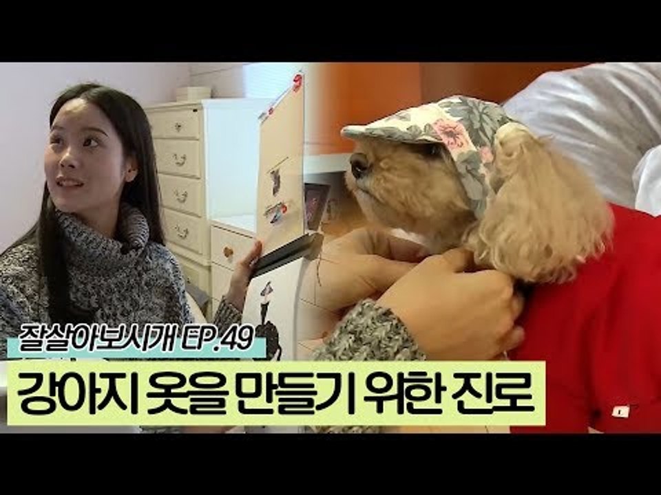 강아지 옷을 만들기 위한 진로 '의상 디자인'