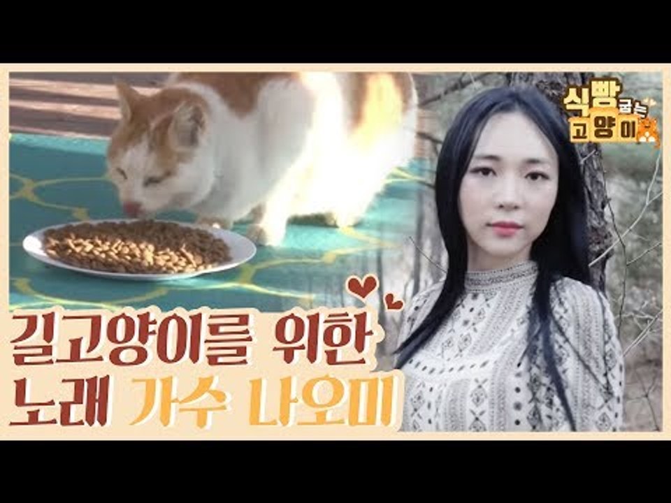 길고양이를 향한 노래 ‘예쁜 날’ (ft.나오미 식당) [식빵굽는 고양이 시즌2] 30회