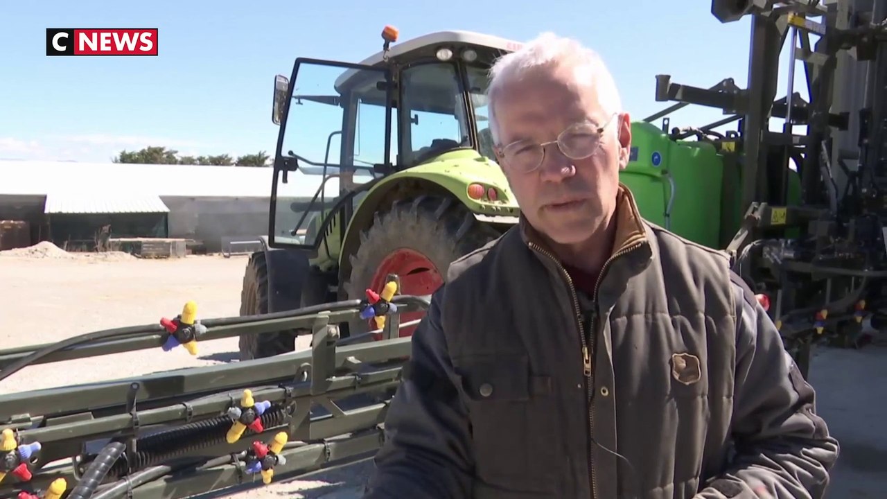 Alpes de Haute-Provence : la dernière pouponnière pour tulipes hollandaises