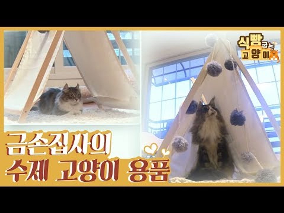 금손 집사 안나 씨의 수제 고양이 용품 [식빵굽는 고양이] 17회