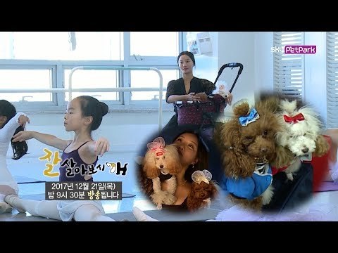 [48회 예고] '호두&연두' 두두자매와 무용가 정선화 씨