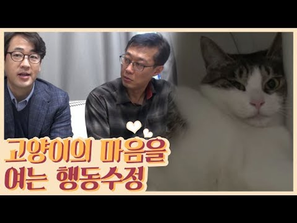 고양이의 마음을 여는 행동 수정 솔루션 [식빵굽는 고양이] 22회