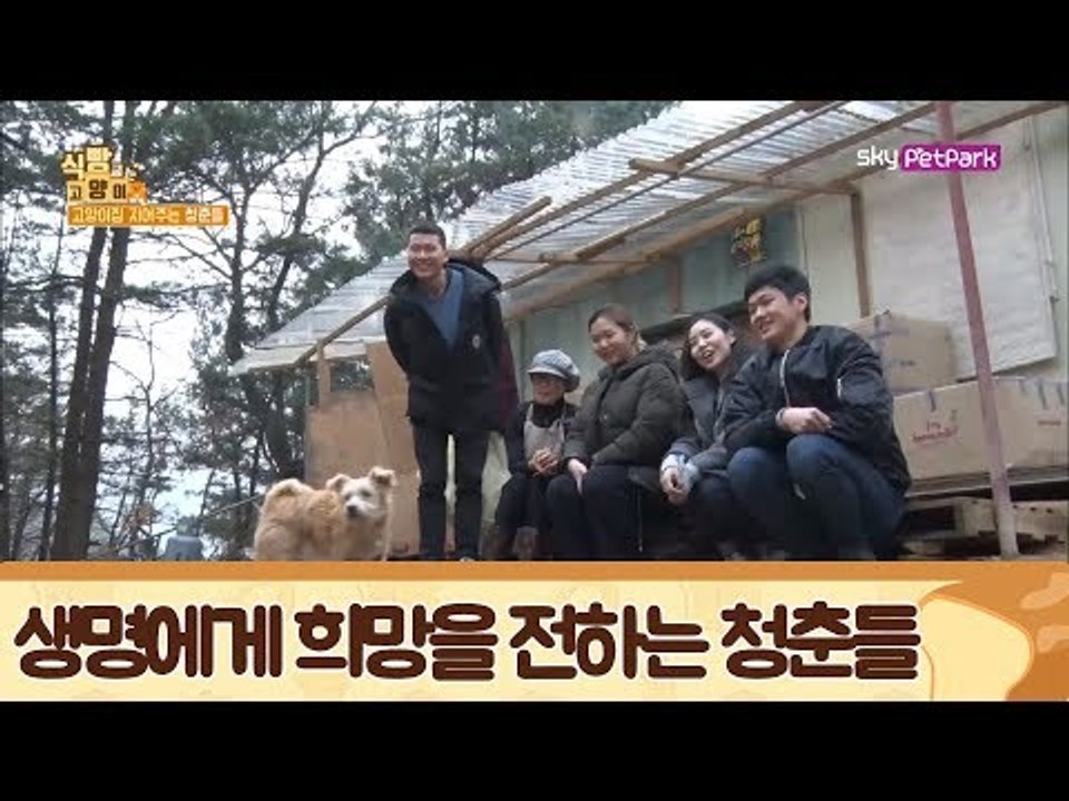 희망을 선물하는 4명의 청춘들 & 보호소 사료 기부 [식빵굽는 고양이] 24회