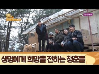 희망을 선물하는 4명의 청춘들 & 보호소 사료 기부 [식빵굽는 고양이] 24회
