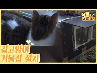 길고양이와 공생, 겨울 집 설치하는 날! [식빵굽는 고양이] 22회