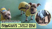 18년 동안 같이 지내온 유원 씨의 노령견 깜보