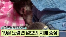 치매 증상뿐만 아니라 시력과 청력도 잃은 깜보