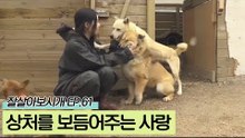 상처받은 유기견들을 사랑으로 보살피는 유원 씨