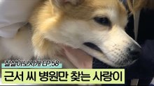 홍역으로 고생한 사랑이의 유일한 희망이었던 근서 씨