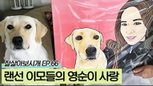 영순이는 랜선 이모들의 사랑을 듬뿍 받는 중