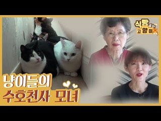 냥이들의 수호천사, 모녀 집사를 소개합니다 [식빵굽는 고양이 시즌2] 30회