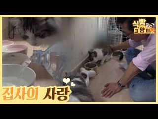 영양제 + 집사의 사랑 = 완벽한 고양이 아침 식사 [식빵굽는 고양이] 22회