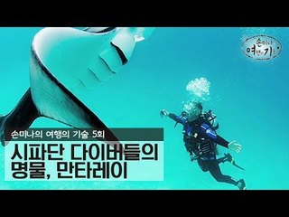 시파단 다이버들의 명물, 만타레이 [손미나의 여행의 기술] 5회