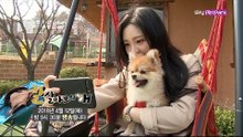 [62회 예고] 팝페라 가수의 견공 세레나데