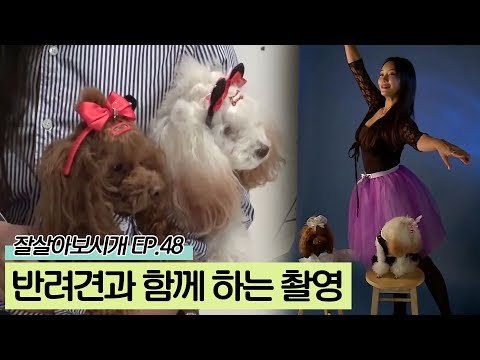 선화 씨와 두두 자매 '호두&연두'의 사진 촬영