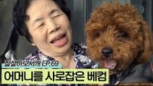 강아지를 좋아하지 않던 어머니를 사로잡은 매력둥이 베컴