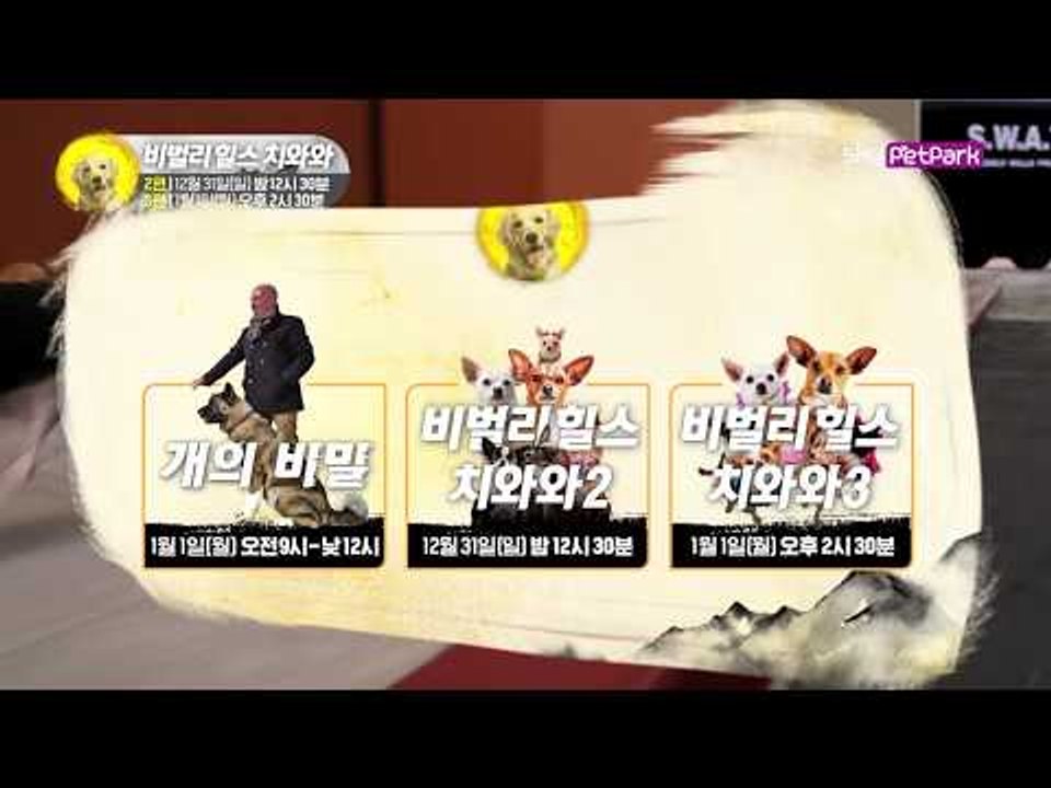 [예고] 2018 황금 개띠 해 특집 ‘개의 비밀 & 비벌리힐스 치와와’