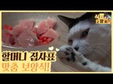 인기 만점 할머니 집사 표 고양이 맞춤 보양식 [식빵굽는 고양이 시즌2] 30회