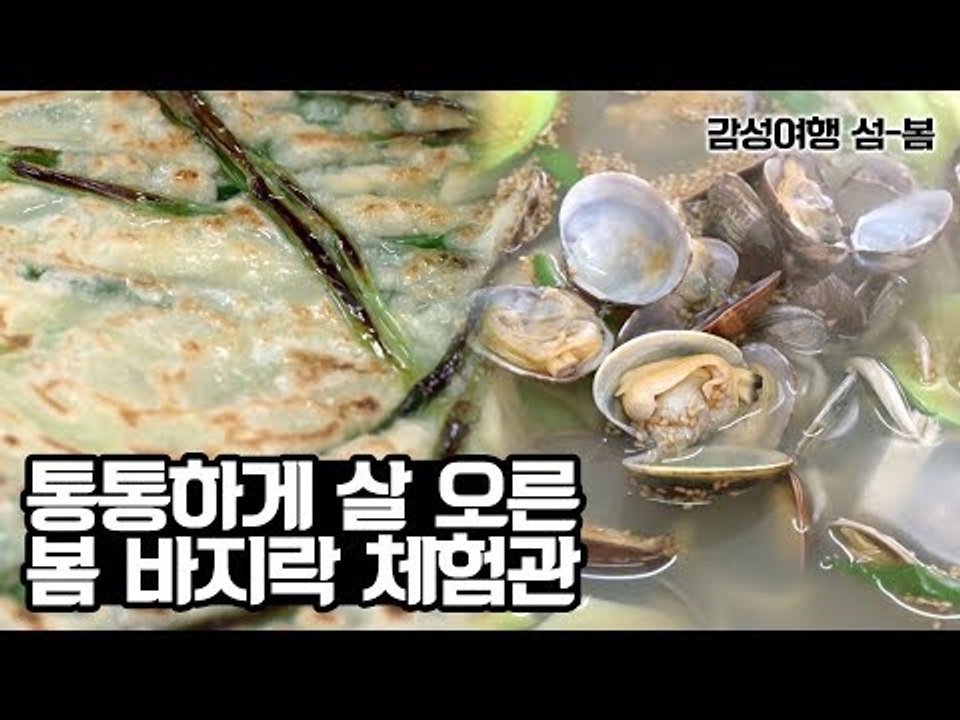 원산도 통통하게 살 오른 봄 바지락 체험관 [감성여행 섬-봄] 3회