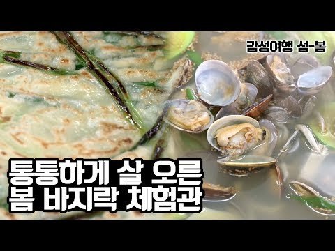 원산도 통통하게 살 오른 봄 바지락 체험관 [감성여행 섬-봄] 3회