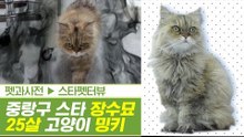 역대 최강! 중랑구 장수묘 스타 25살 밍키 [펫과사전] 4회