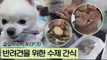 반려견의 건강과 치석제거를 위한 수제 간식
