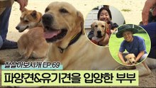 파양당한 로빈이와 유기견 찰스를 입양한 부부