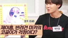 제이홉, 반려견 미키의 코골이가 걱정이다? [마이펫 상담소] 6회