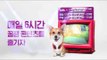 [스팟] 매일 6시간 꿀잼 콘텐츠를 즐기자! SBS 동물농장 × skyPetpark