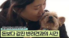 하루 24시간이 모자란 유원 씨의 견공 사랑