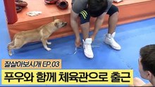 푸우와 함께 체육관으로 출근 [잘살아보시개] 3회