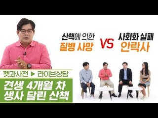 생후 4개월 차 반려견의 산책에 생사가 달렸다?! [펫과사전] 1회