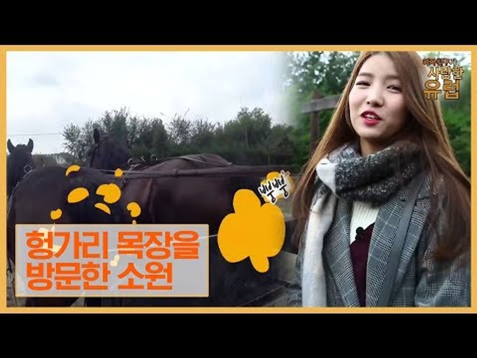 헝가리 목장을 방문한 소원, 자연과 하나 되다 [여자친구가 사랑한 유럽] 7회