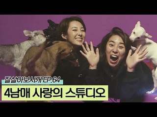 네 마리 견공들과 함께 하는 사랑의 스튜디오