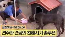 킹이와 아버지를 위한 친해지기 솔루션 [잘살아보시개] 6회