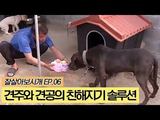 킹이와 아버지를 위한 친해지기 솔루션 [잘살아보시개] 6회