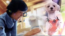 [8회 예고] 강일이와 강이는 새로운 가족을 만날 수 있을까? [잘살아보시개]