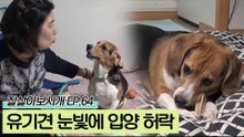 유기견의 눈빛을 보고 입양을 허락한 현진 씨의 부모님