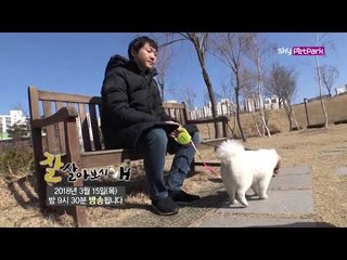 [58회 예고] 바비와 콩콩이의 영원한 수의사 [잘살아보시개 시즌3]